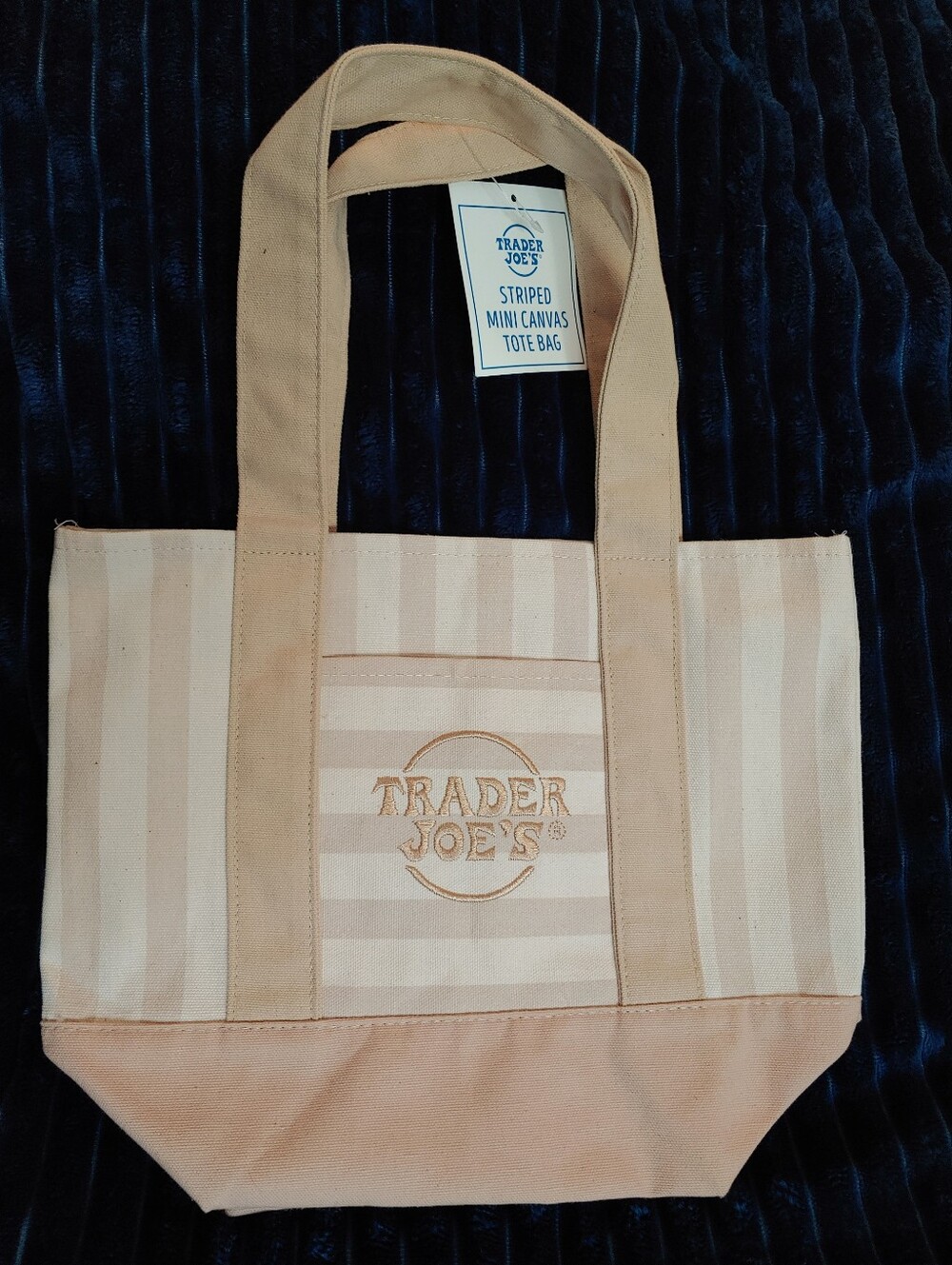 Striped Mini Canvas Tote Bag in Beige